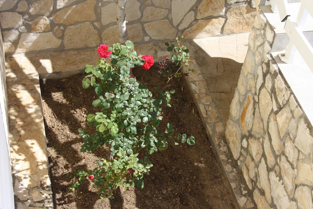 Appartamento Kuca Za Odmor Laura Ražanac Esterno foto